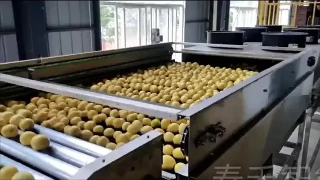 Сортировка картофеля, моркови